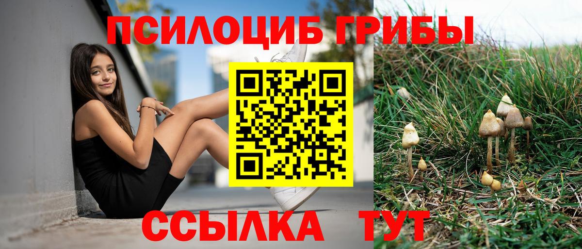 Псилоцибиновые грибы прущие грибы Бузулук